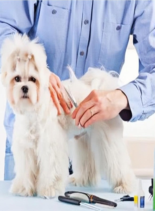 سكويشي مقصّات تزيين الكلاب، مقصّات احترافية لقصّ شعر الحيوانات الأليفة بشفرات منحنية، مقصّات للكلاب لتقليم دقيق للوجه والكفوف، تصميم خفيف الوزن لاستخدام مريح - Image 2